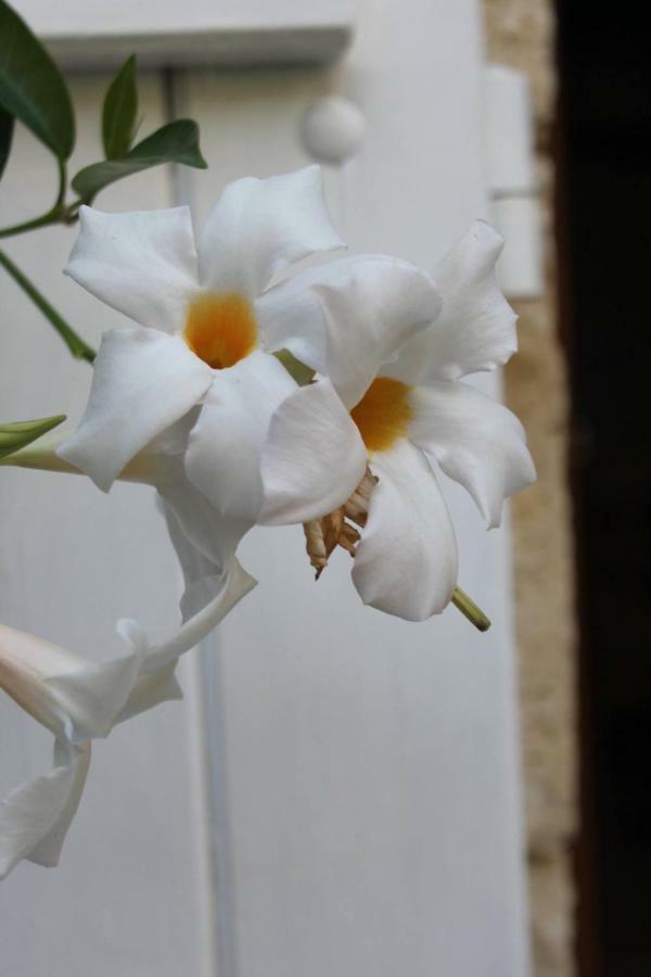 Bed and Breakfast Au Garcin La Romieu Exterior foto